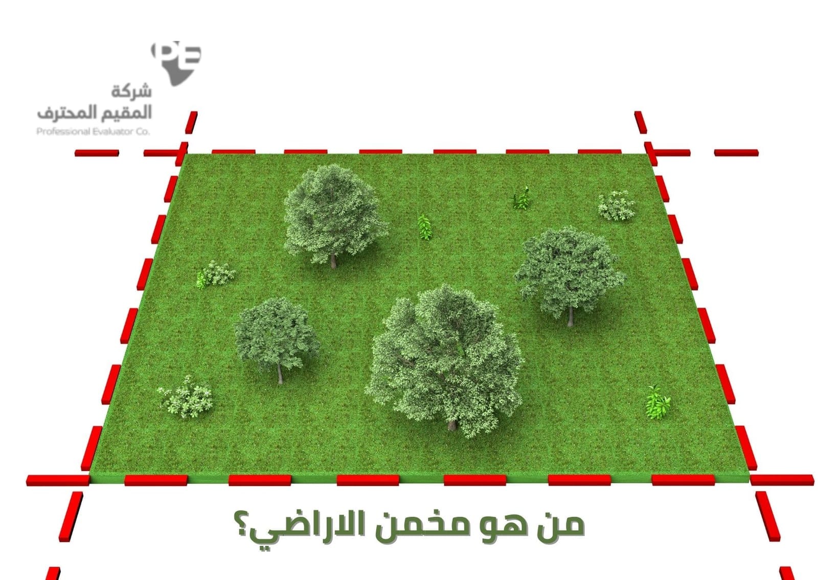 من هو مخمن الاراضي؟